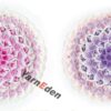 YarnEden Cushion YEU006